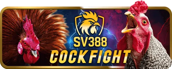 Công cụ marketing VB79