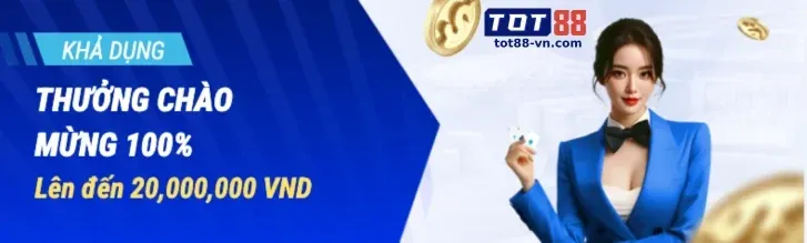 Chương Trình VIP VB79